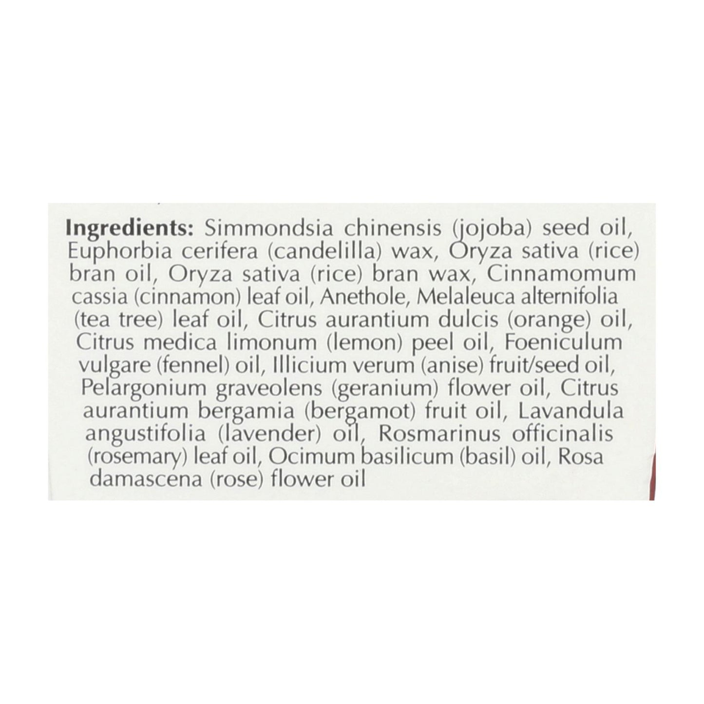 Eco-Dent VeganFloss Premium Dental Floss Cinnamon - 100 Yards - Case of 6