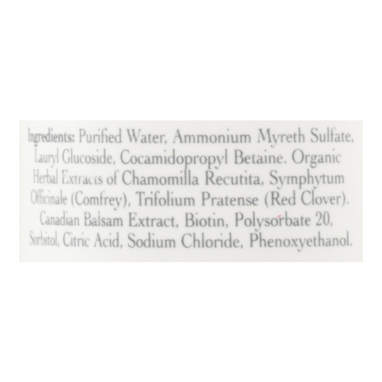 Stony Brook Shampoo Unscented - 16 fl oz