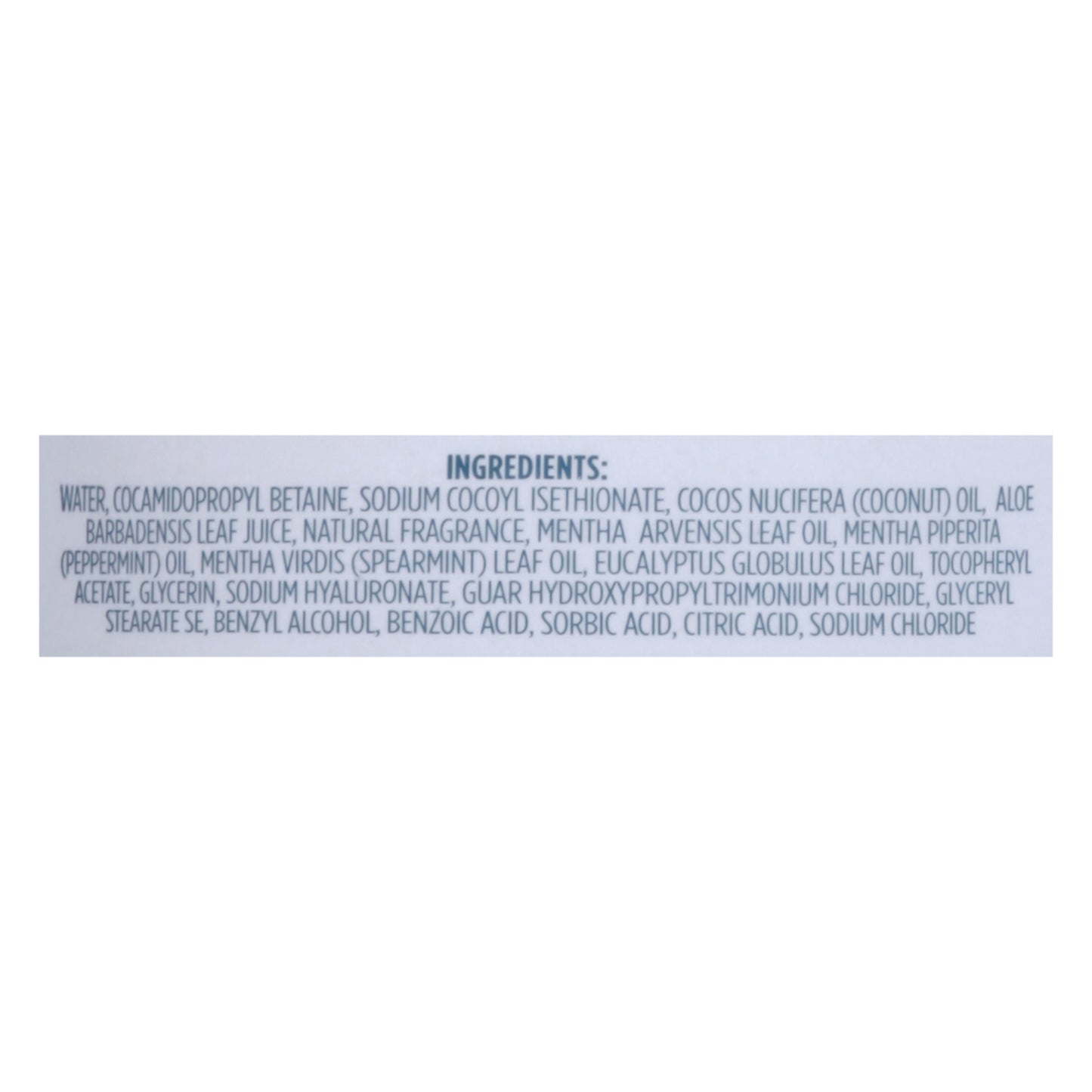 Kirk's Natural - 3-in-1 Cleanser Euclypt Mint - 1 Each-32 FZ