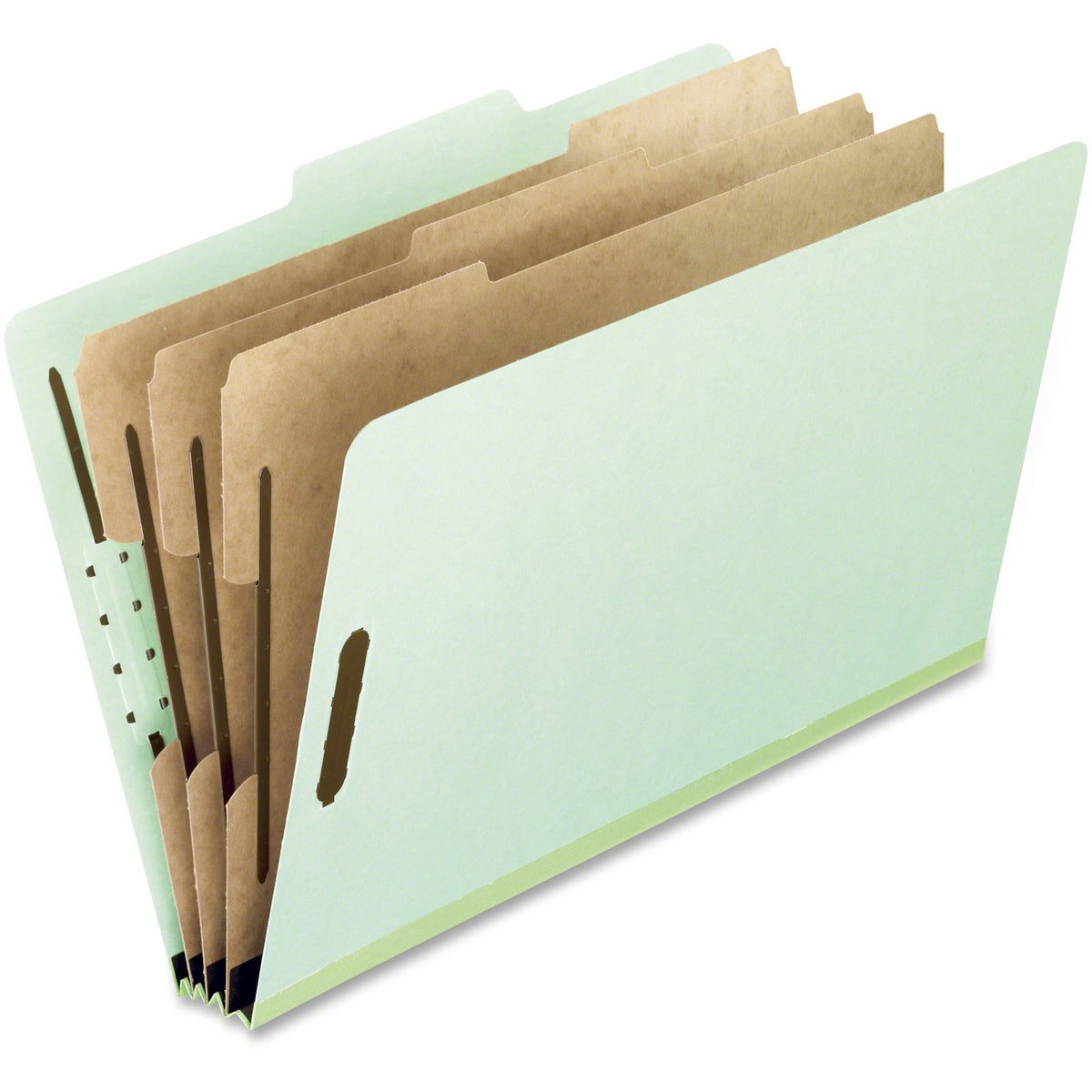Pendaflex 1/3 Tab Cut Letter Recycled Classification Folder (PFX17174)
