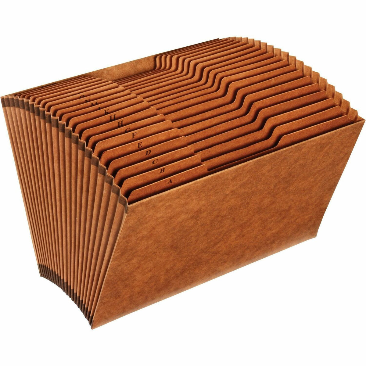 Pendaflex 1/3 Tab Cut Recycled Expanding File (PFXR219AHD)