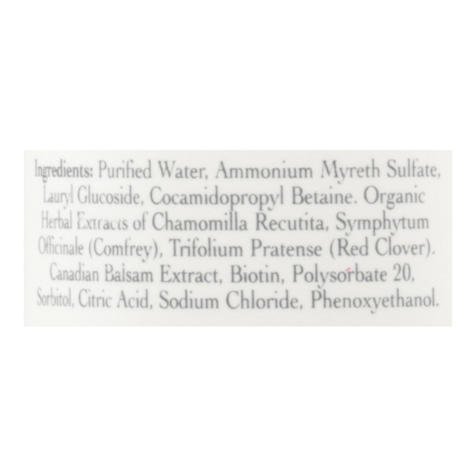 Stony Brook Shampoo Unscented - 16 fl oz