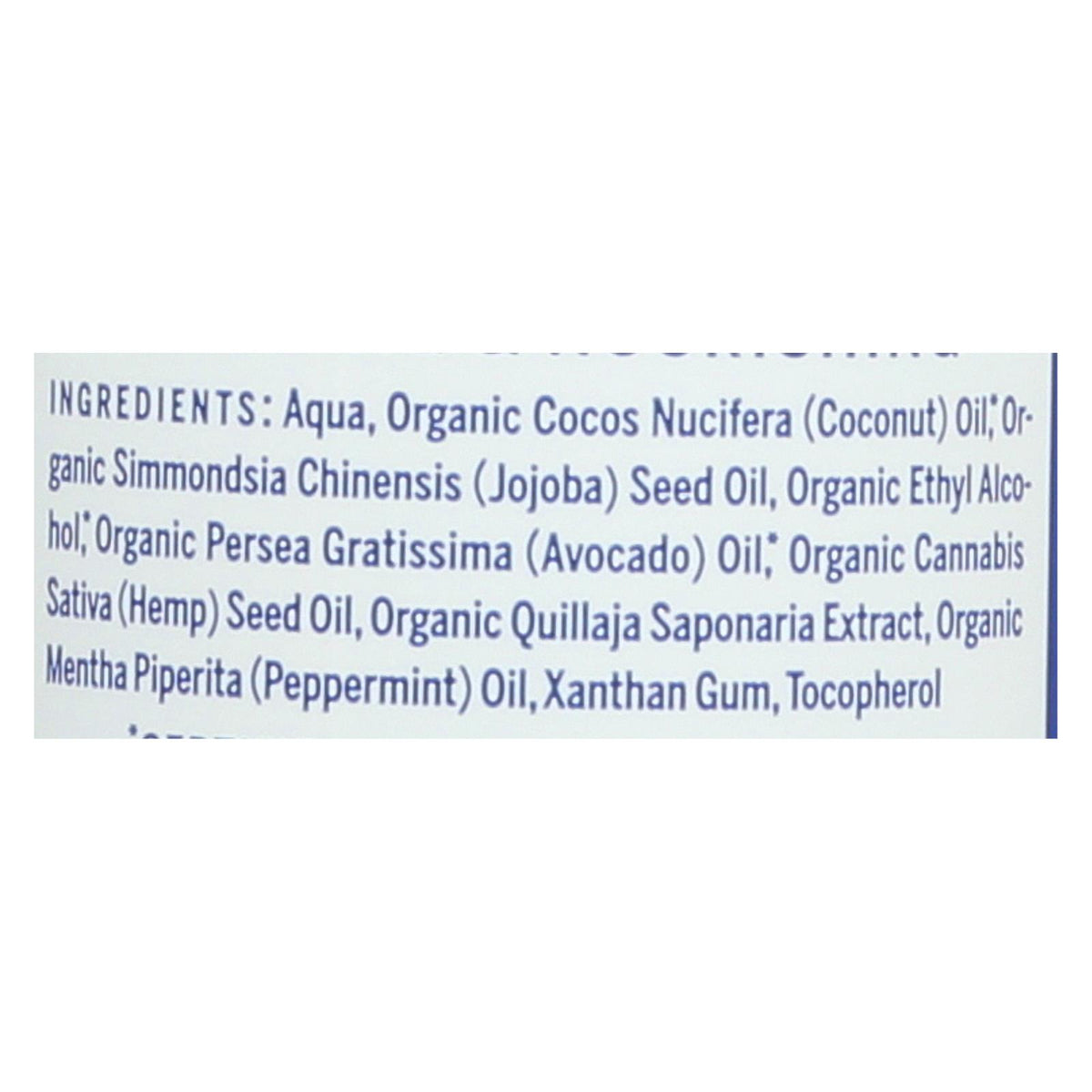 Dr. Bronner's - Lotion Peppermint - 1 Each-8 FZ