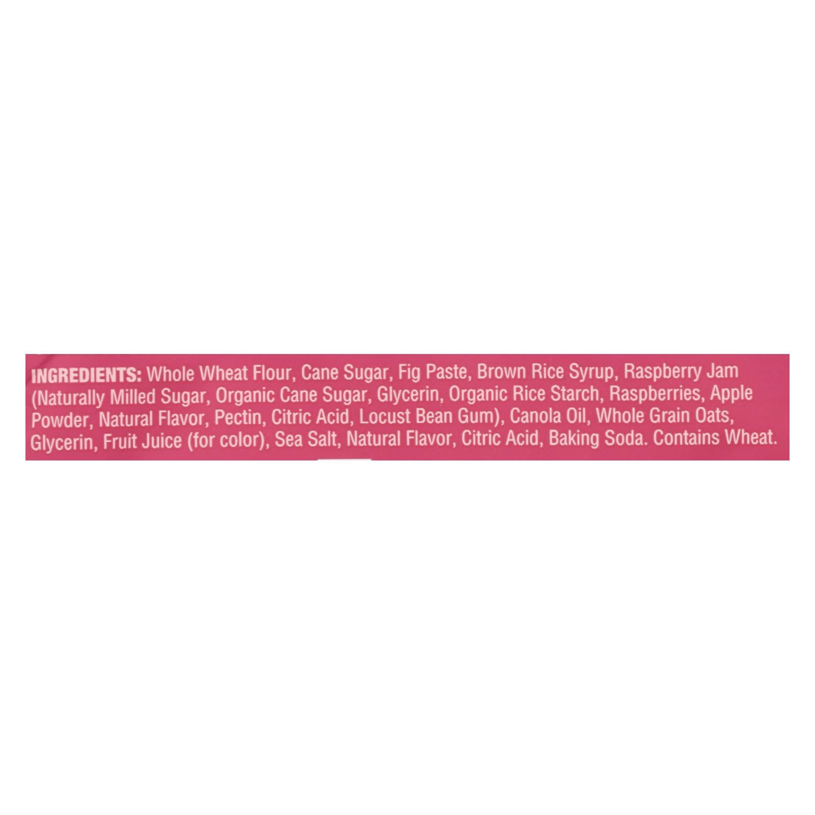 Nature's Bakery Stone Ground Whole Wheat Fig Bar - Raspberry - 2 oz - Case of 12