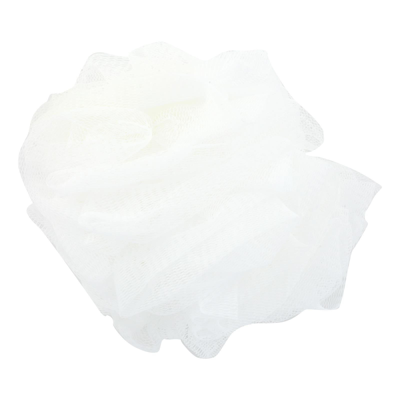 Earth Therapeutics Hydro Body Sponge with Hand Strap White - 1 Sponge