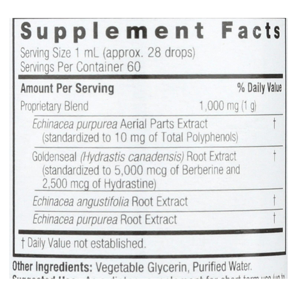 Nature's Answer - Echinacea and Goldenseal Alcohol Free - 2 fl oz