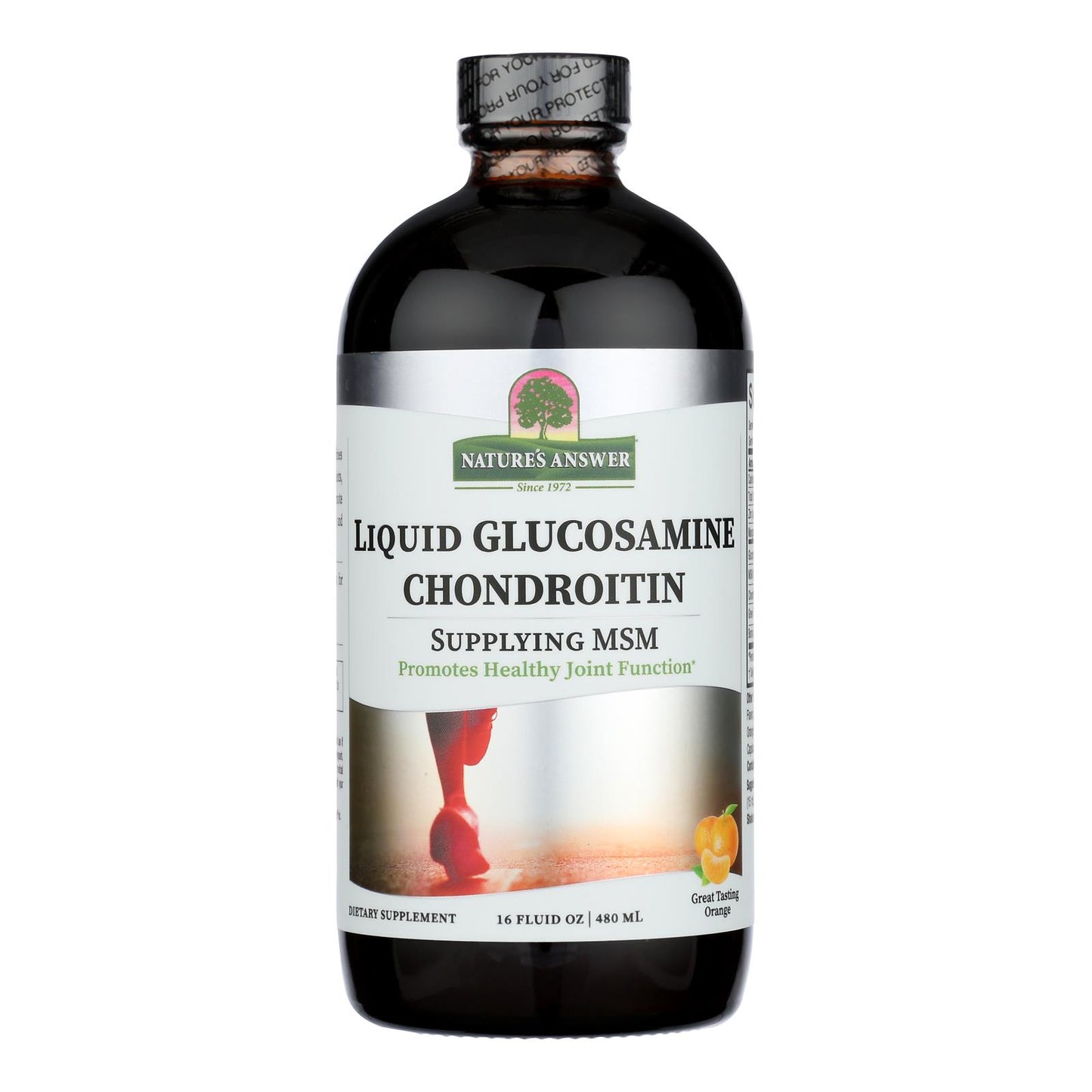 Nature's Answer - Liquid Glucosamine and Chondroitin with MSM Natural Orange - 16 fl oz