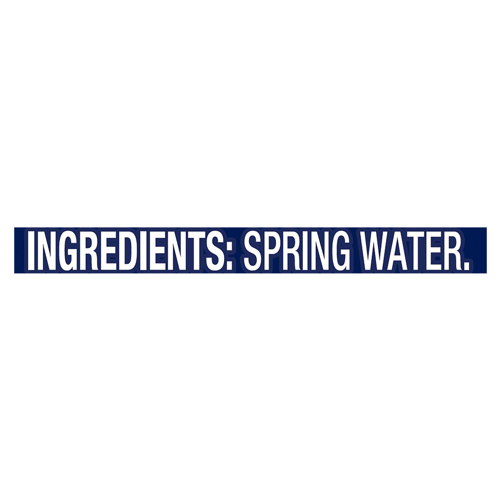 Ice Mountain - Natural Spring Water - 24/500 mL