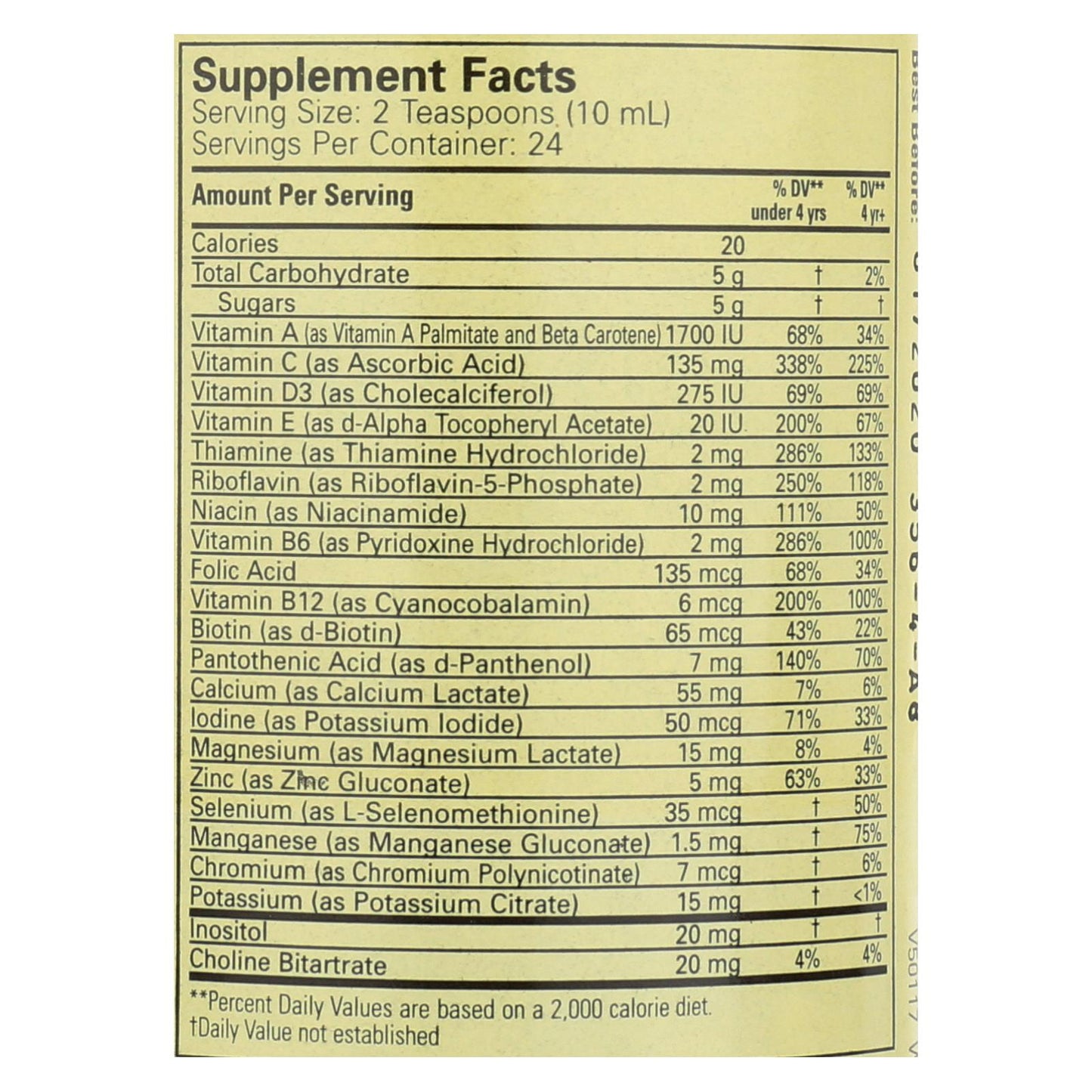 Childlife Multi Vitamin and Mineral Natural Orange Mango - 8 fl oz