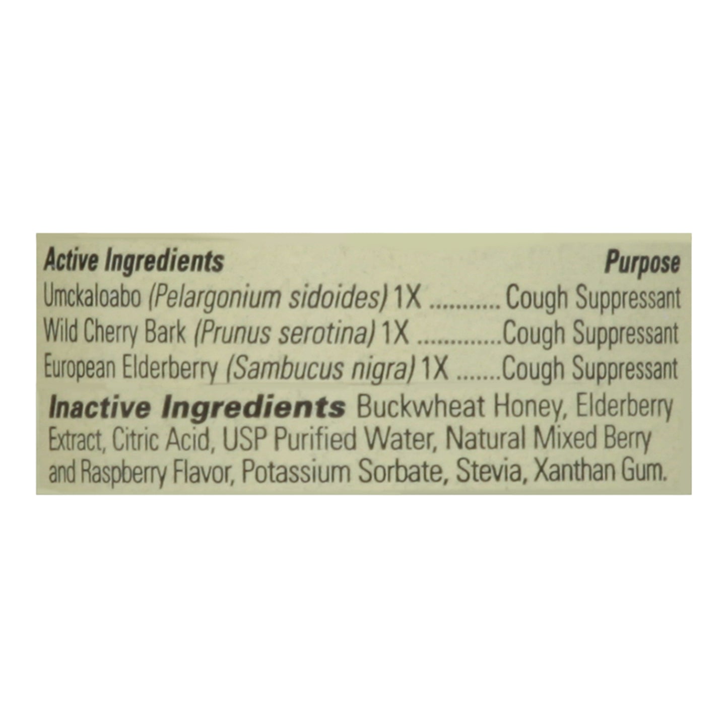 Childlife Formula 3 Cough Syrup Natural Berry - 4 fl oz