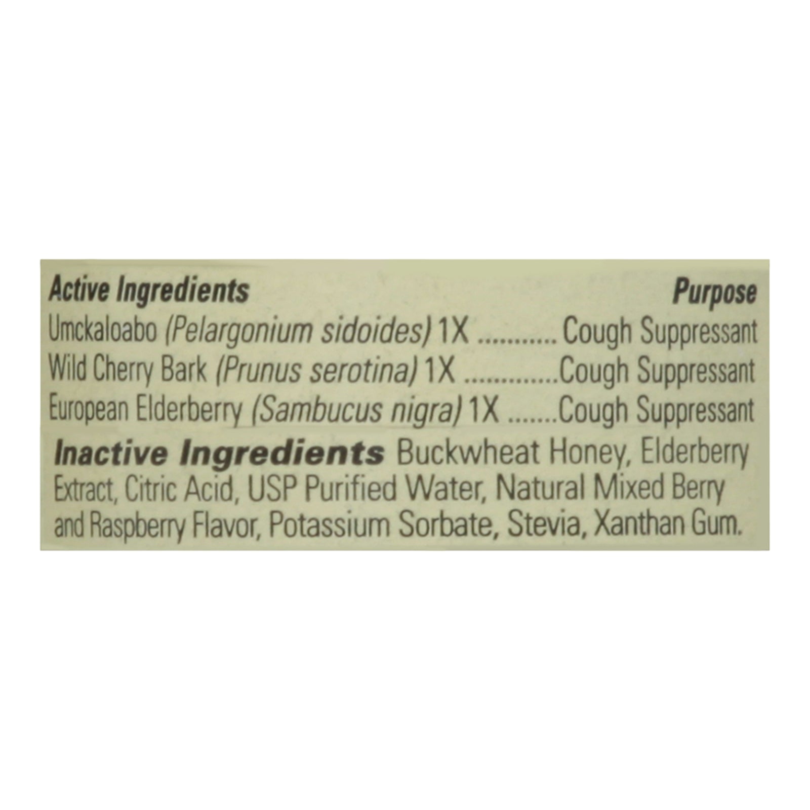 Childlife Formula 3 Cough Syrup Natural Berry - 4 fl oz