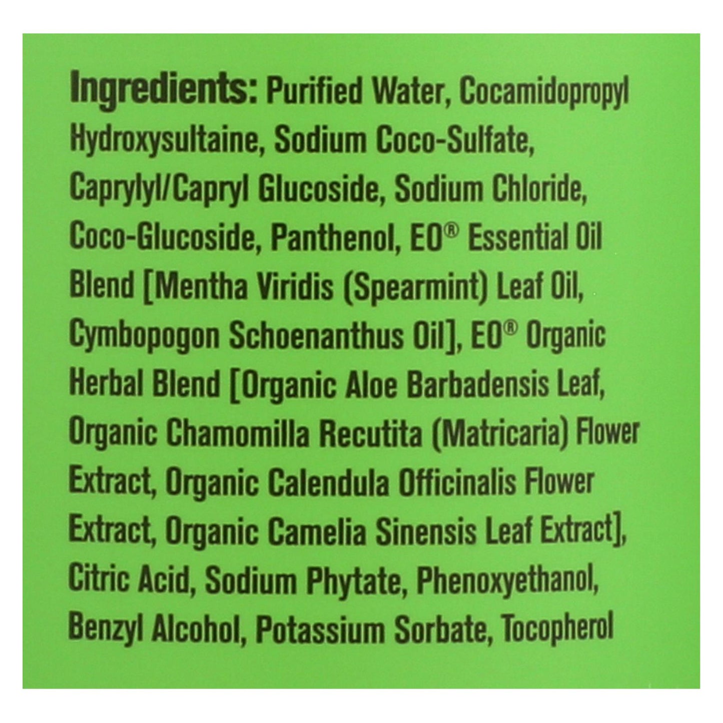 Everyone - Hand Soap - Spearmint and Lemongrass - 12.75 oz