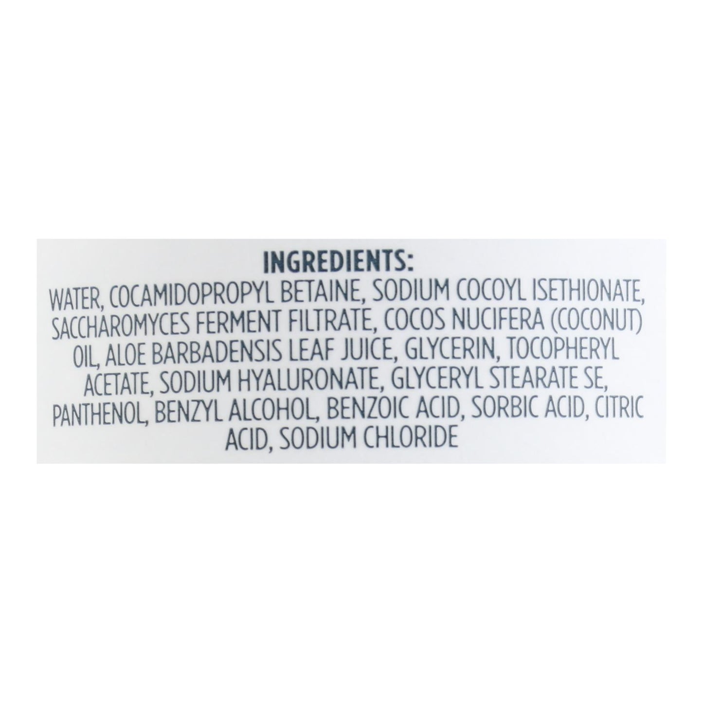 Kirk's Natural - Hand Soap Fragrance Free - 12 FZ