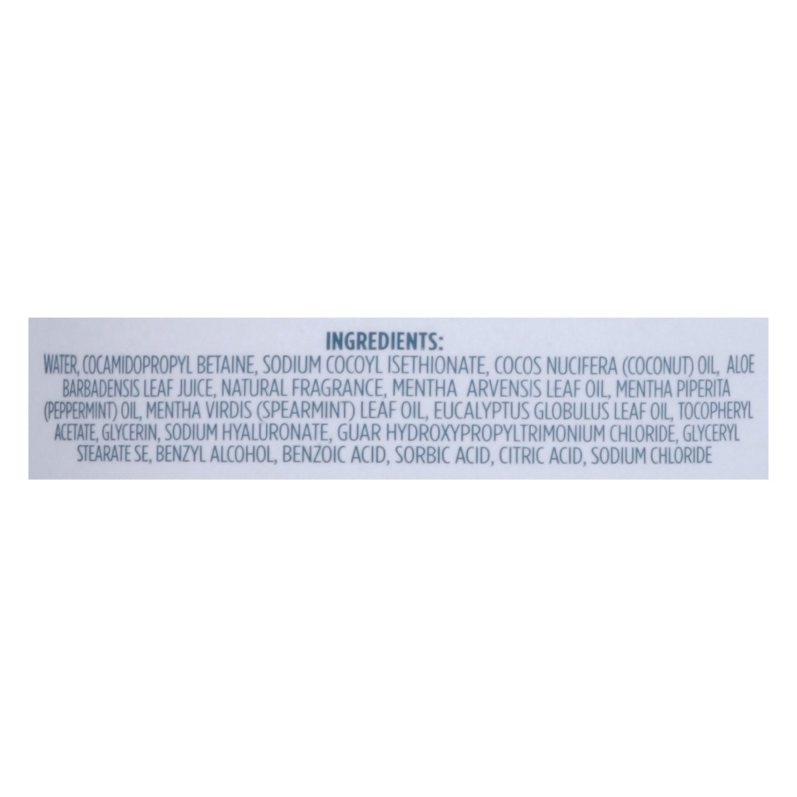 Kirk's Natural - 3-in-1 Cleanser Euclypt Mint - 1 Each-32 FZ