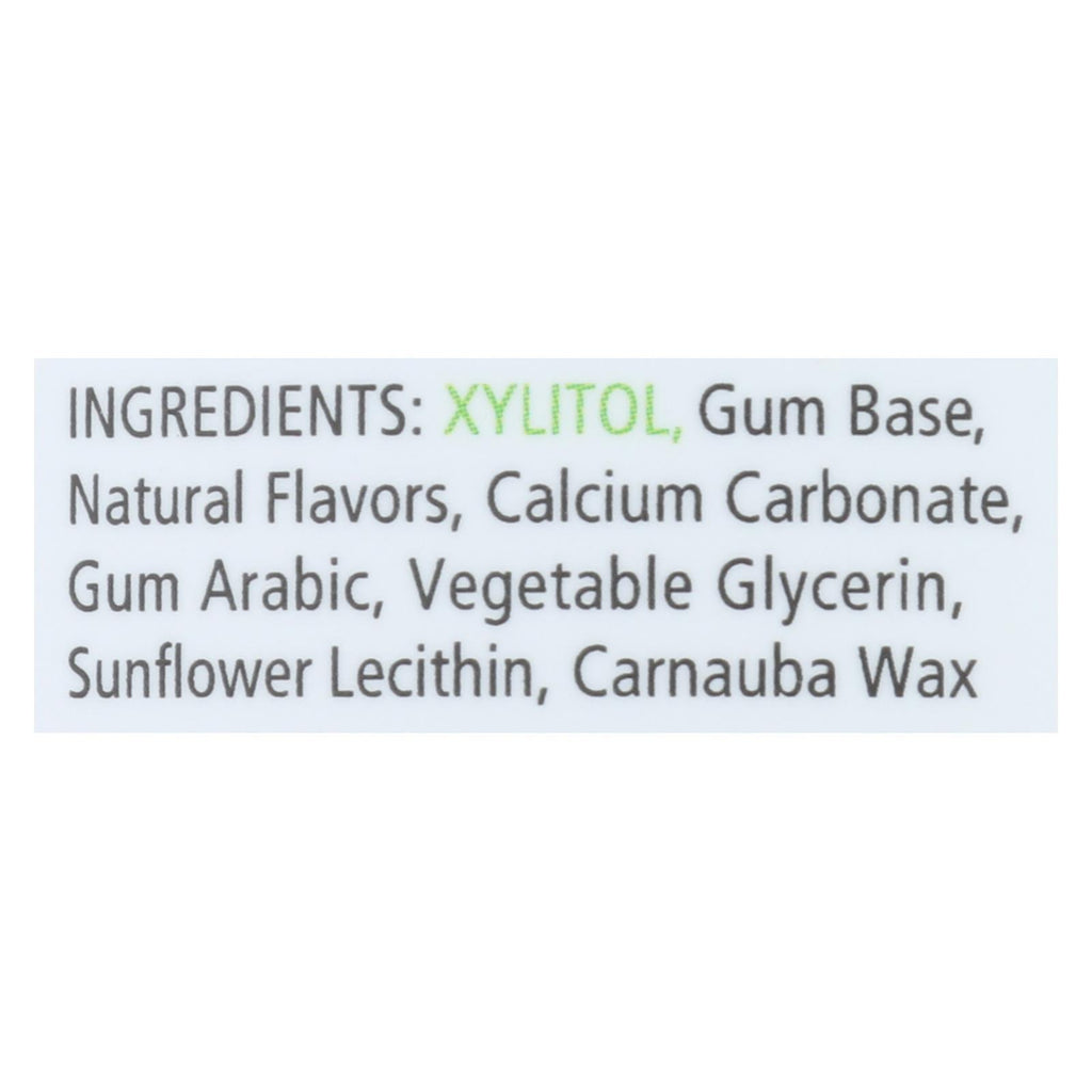 Spry Chewing Gum - Xylitol - Cinnamon - 100 count - 1 each