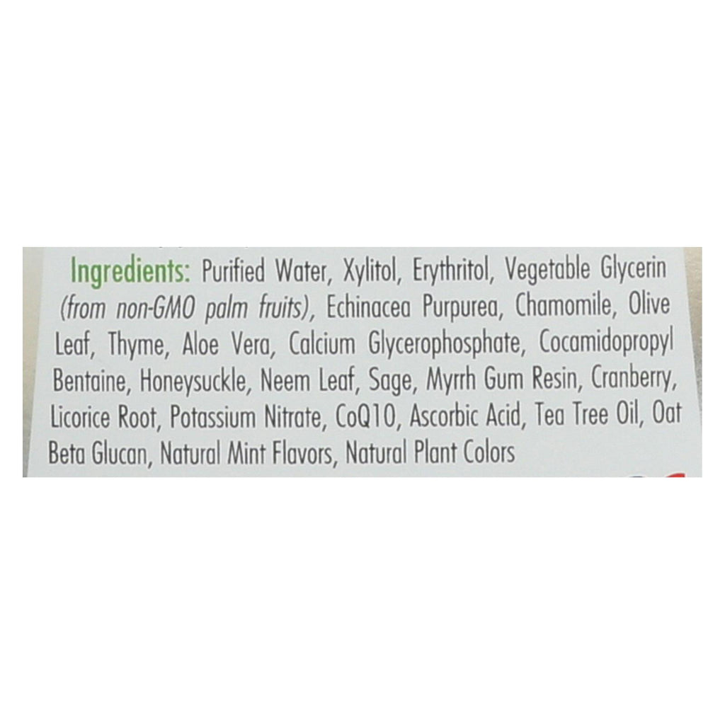 Spry Mouth Wash - Herbal Mint - Af - 16 fl oz