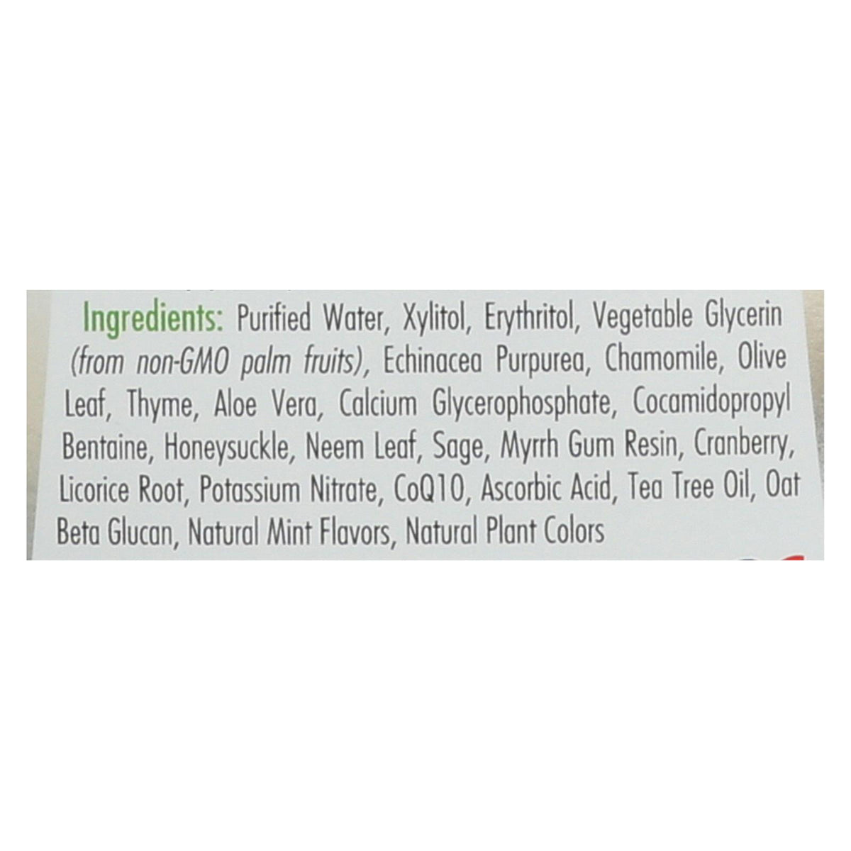 Spry Mouth Wash - Herbal Mint - Af - 16 fl oz