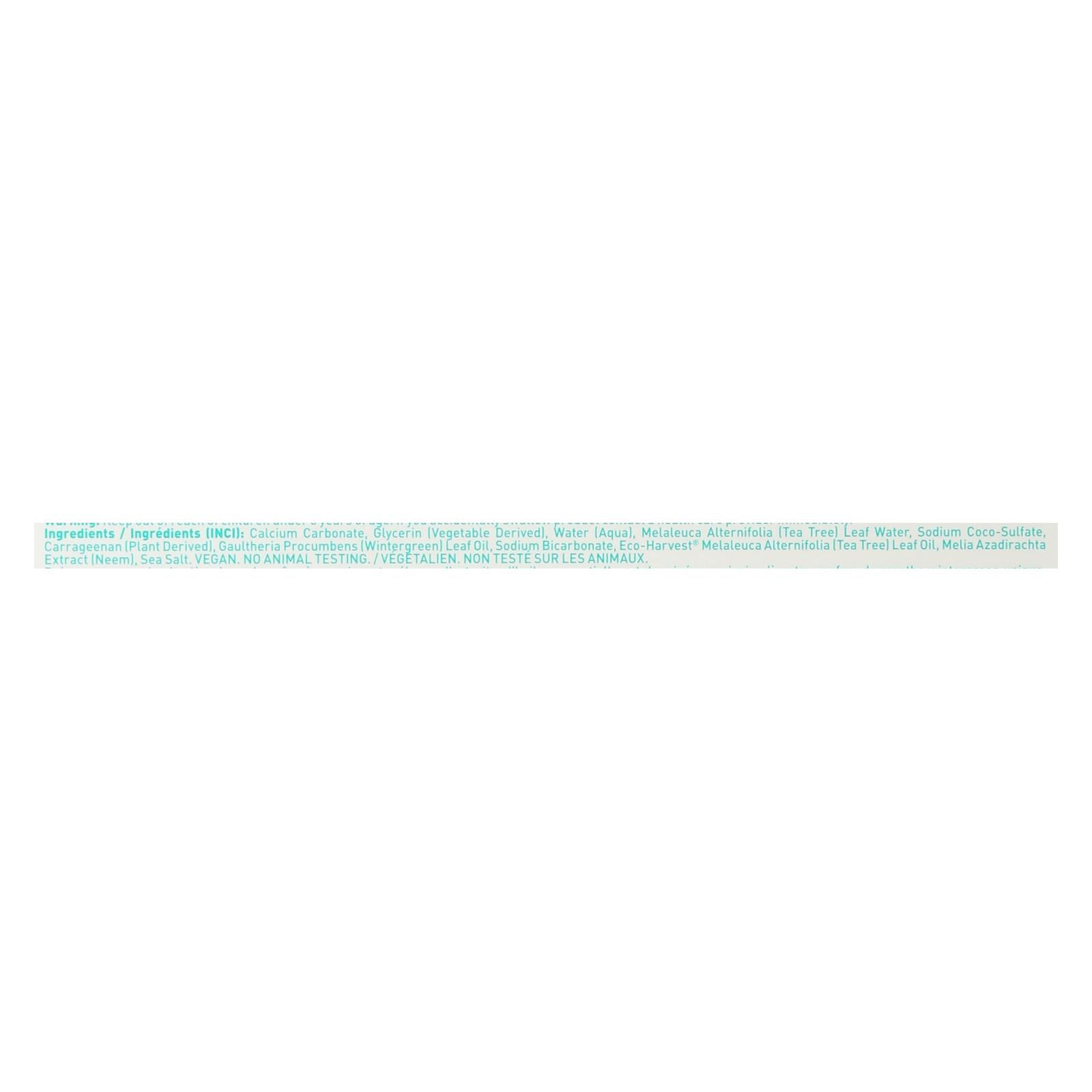Desert Essence - Natural Tea Tree Oil and Neem Toothpaste Wintergreen - 6.25 oz