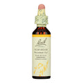 Bach Flower Remedies Essences Hornbeam - 0.7 fl oz