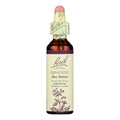 Bach Flower Remedies Essence Impatiens - 0.7 fl oz
