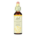 Bach Flower Remedies Essence Scleranthus - 0.7 fl oz