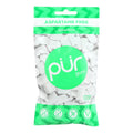 Pur Spearmint Gum  - Case of 12 - 2.72 OZ