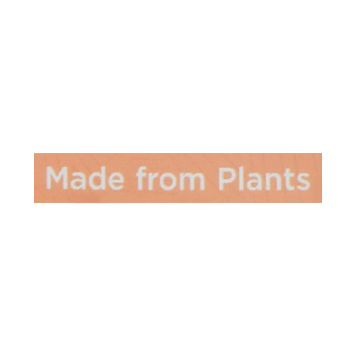 World Centric Fiber Plate - Case of 12 - 20 Count