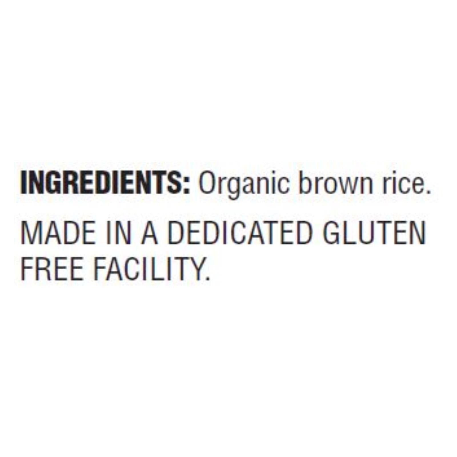 Field Day Pasta - Organic - Brown Rice - Penne - 12 oz - case of 12