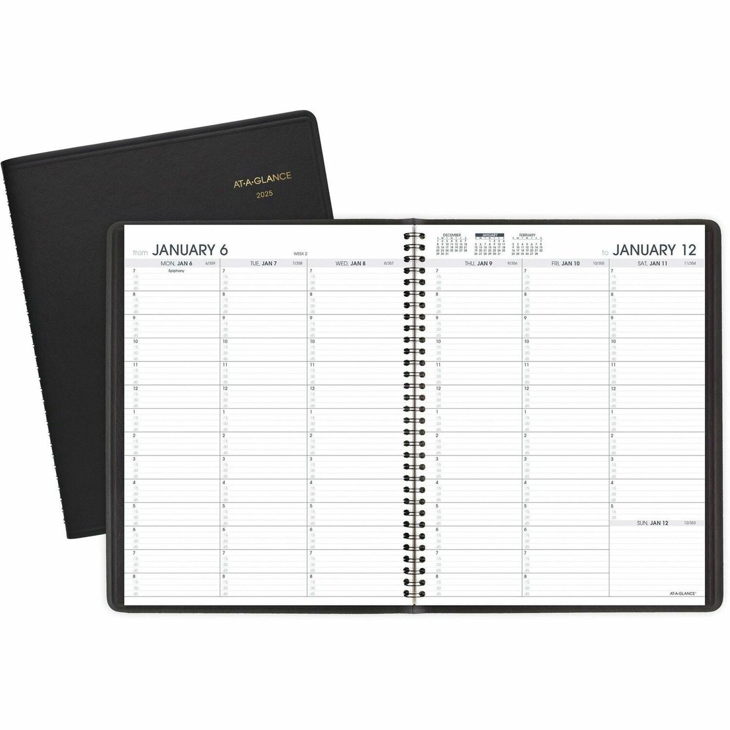 AT-A-GLANCE Weekly Appointment Book (AAG7095005)