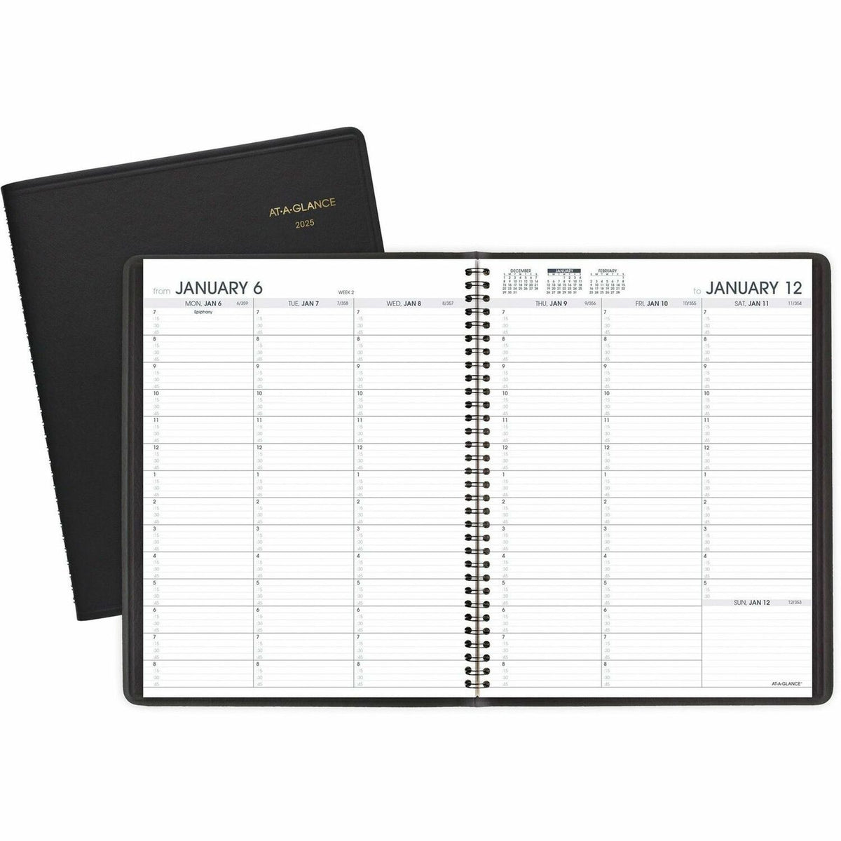 AT-A-GLANCE Weekly Appointment Book (AAG7095005)