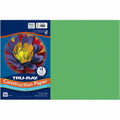Tru-Ray Heavyweight Construction Paper (PAC103038)