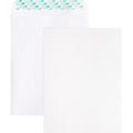 Business Source Self Sealing Catalog Envelope (BSN65450)