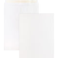 Business Source Self Sealing Catalog Envelopes (BSN65451)