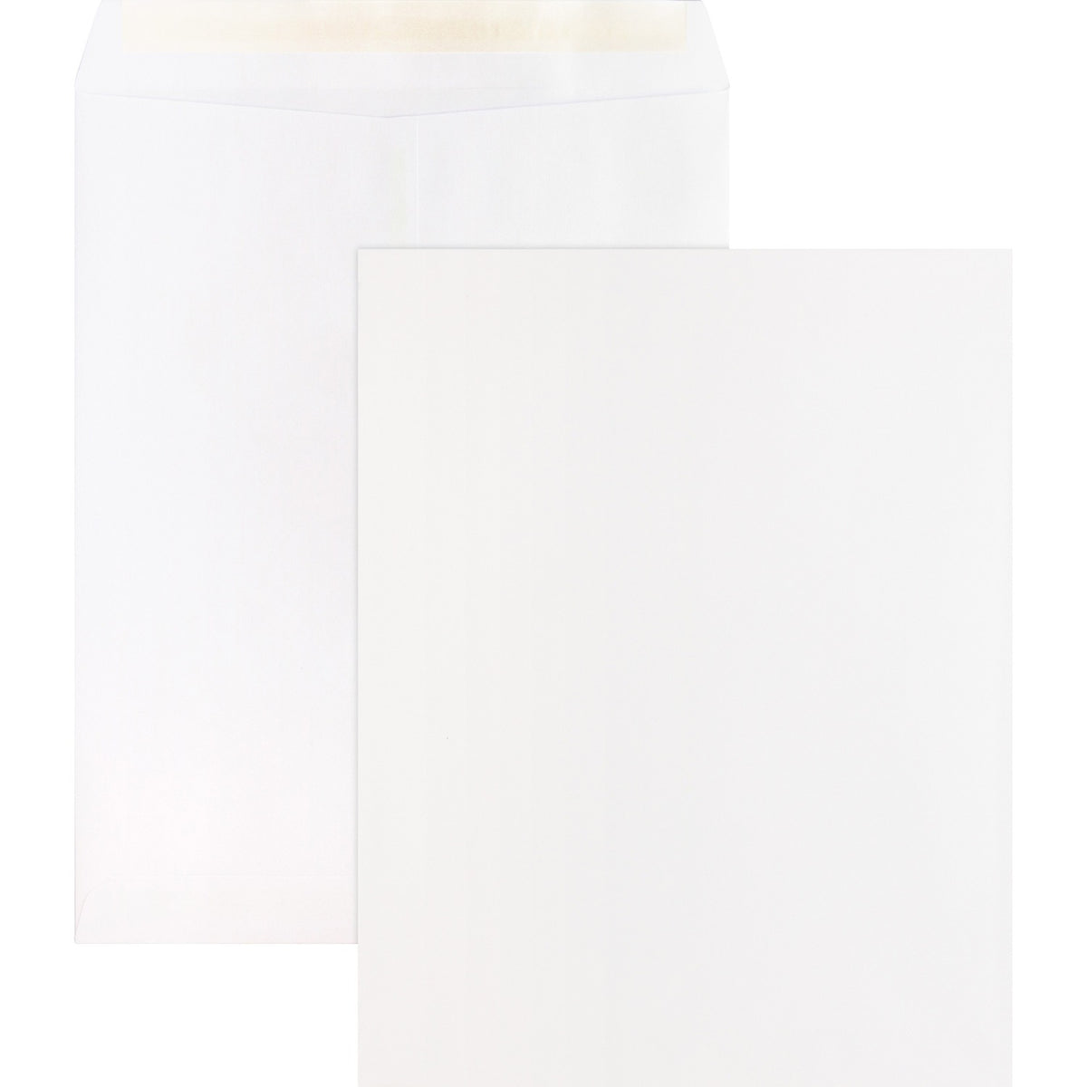 Business Source Self Sealing Catalog Envelopes (BSN65451)