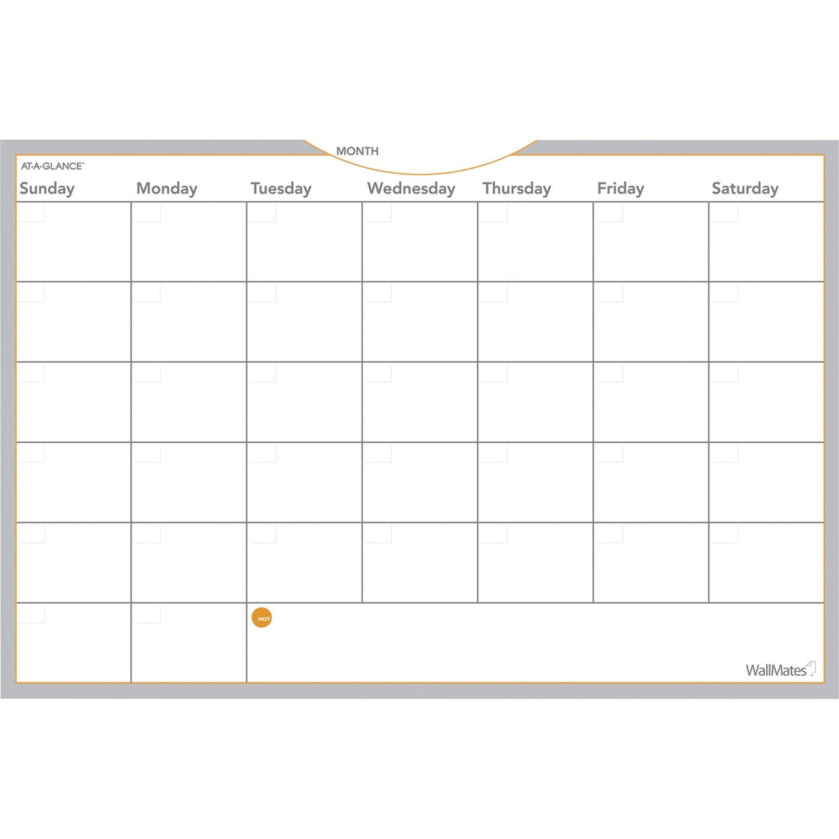 AT-A-GLANCE WallMates Monthly Planning Surface (AAGAW602028)