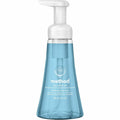 Method Foaming Hand Soap (MTH00365)