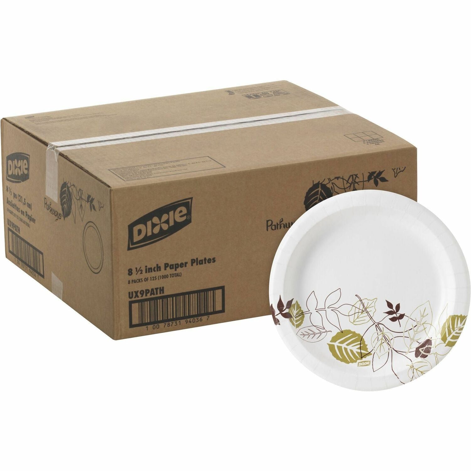 Dixie Pathways 9" Medium-weight Paper Plates by GP Pro (DXEUX9PATH)