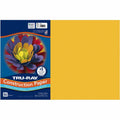 Tru-Ray Construction Paper (PAC102998)