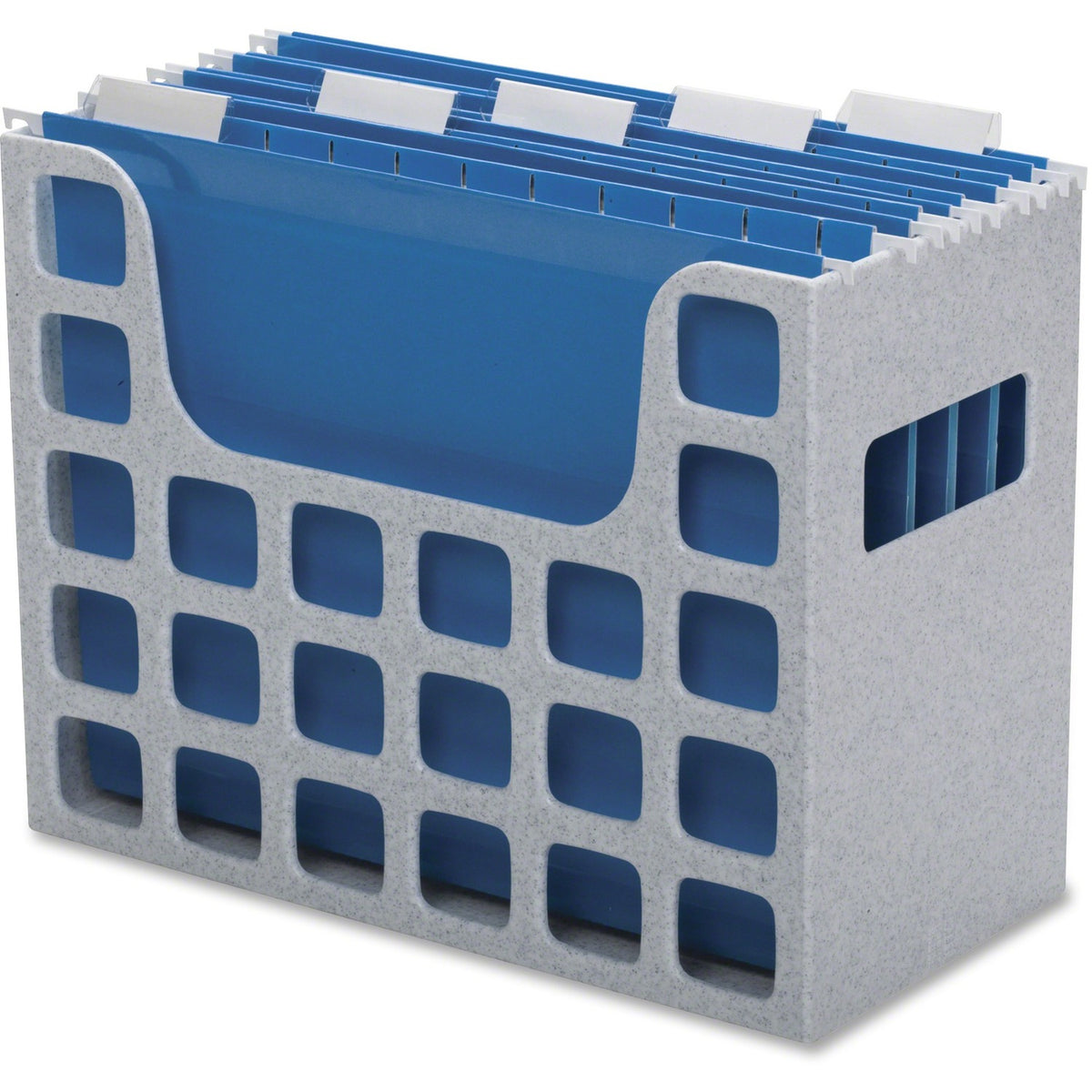 Pendaflex Plastic Desktop Letter Hanging File (PFX23054)
