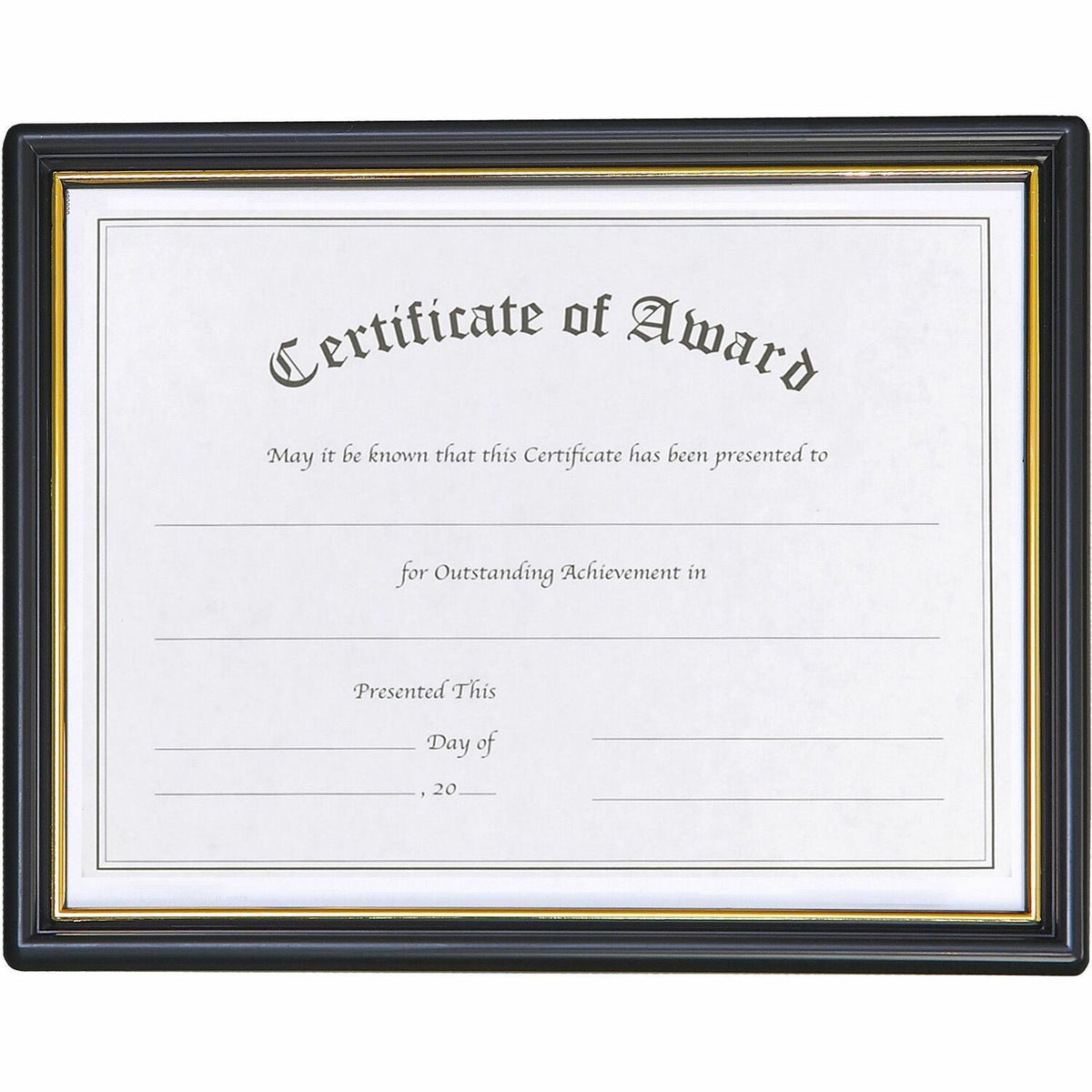 nudell Plastic Framed Award Certificate (NUD19210)