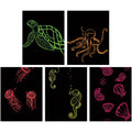 Creativity Street Now You See It! Etch Fluorscnt Brd (PAC4622)