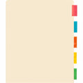 Business Source Color Tab Pocket Binder Dividers (BSN02073)