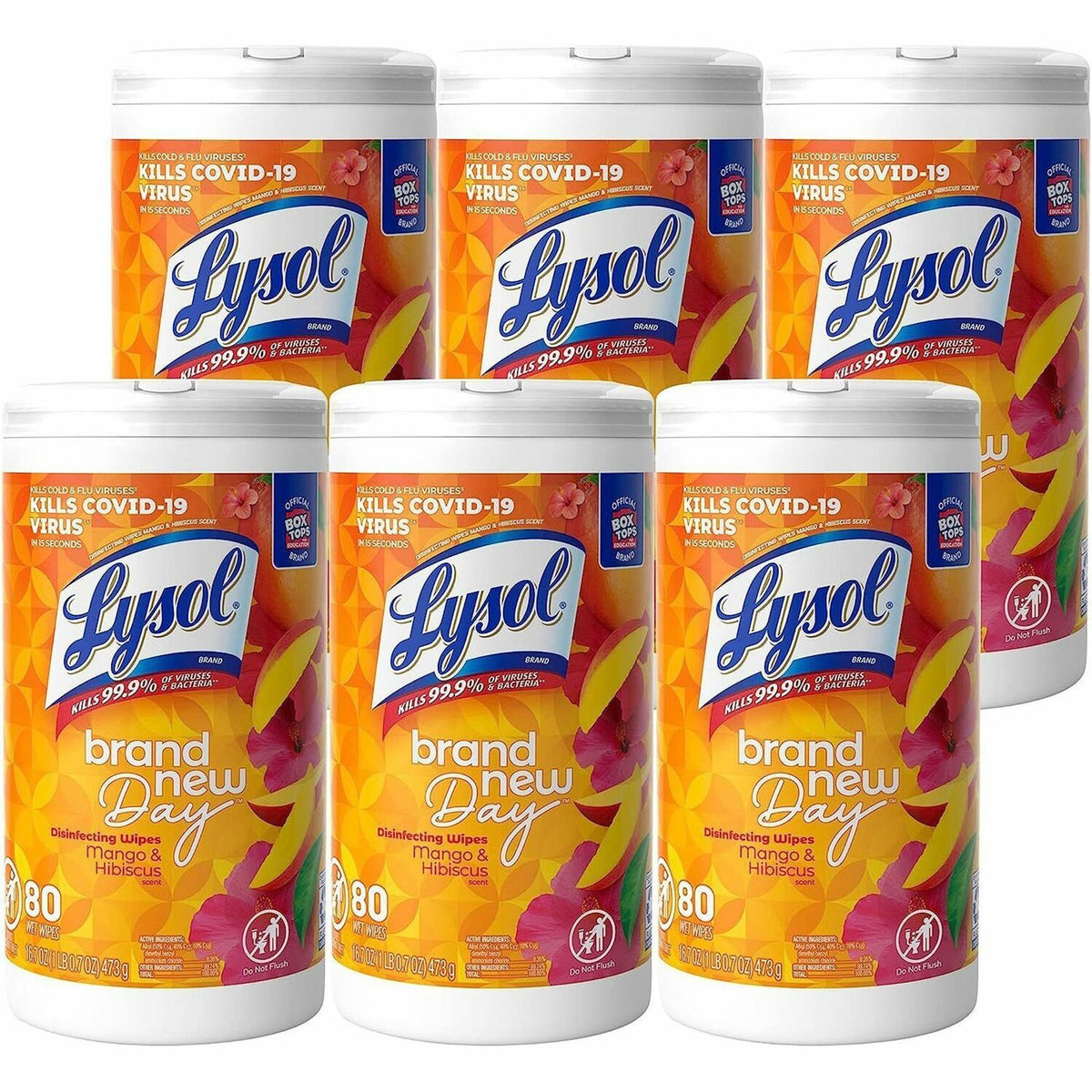 LYSOL Brand New Day Disinfecting Wipes (RAC97181)