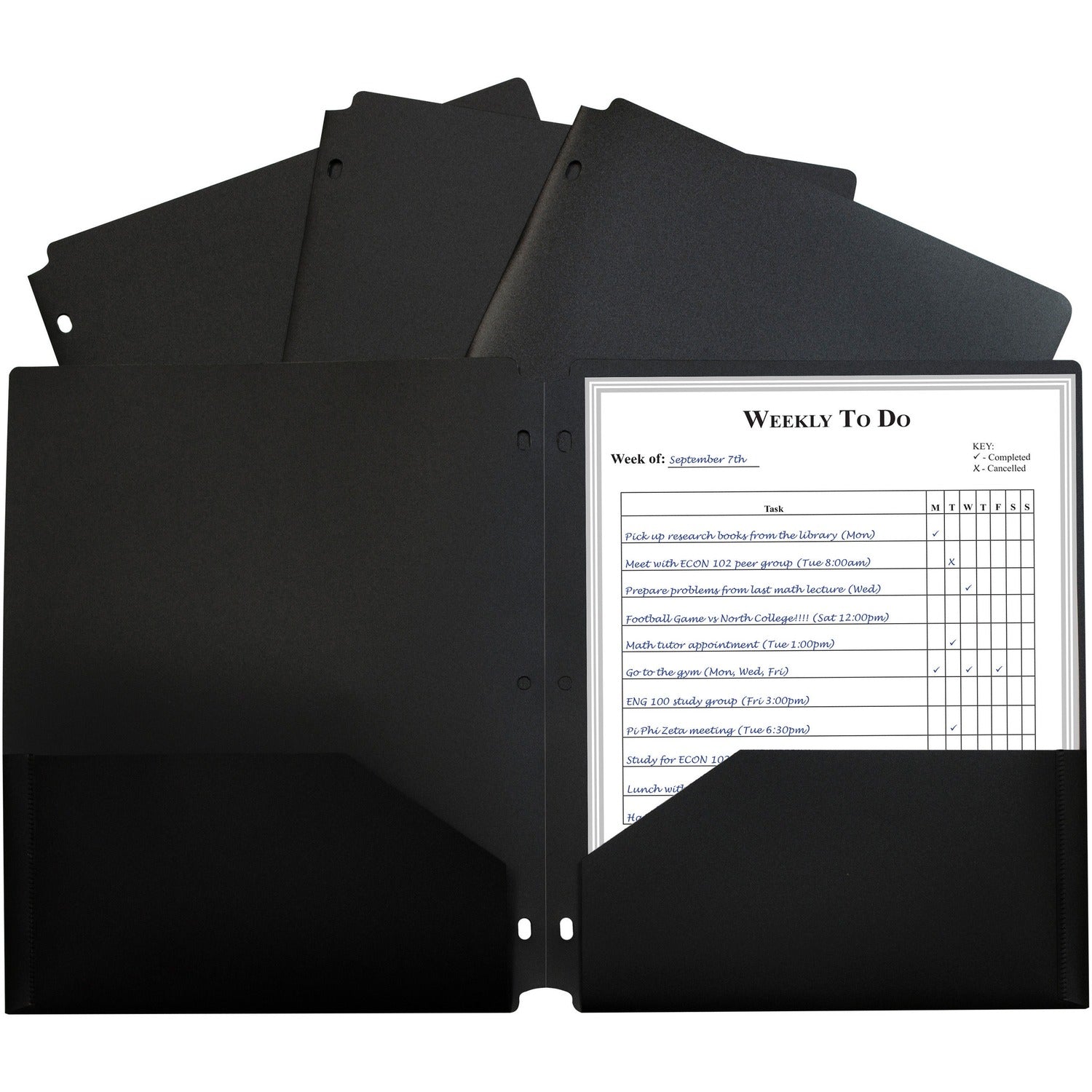 C-Line 2-pocket Heavyweight Poly Portfolio Pocket (CLI33931)