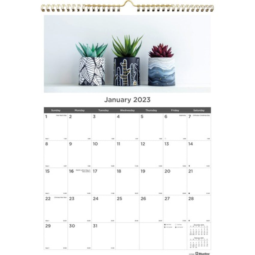 Rediform Succulent Plants Wall Calendar (REDC173121)