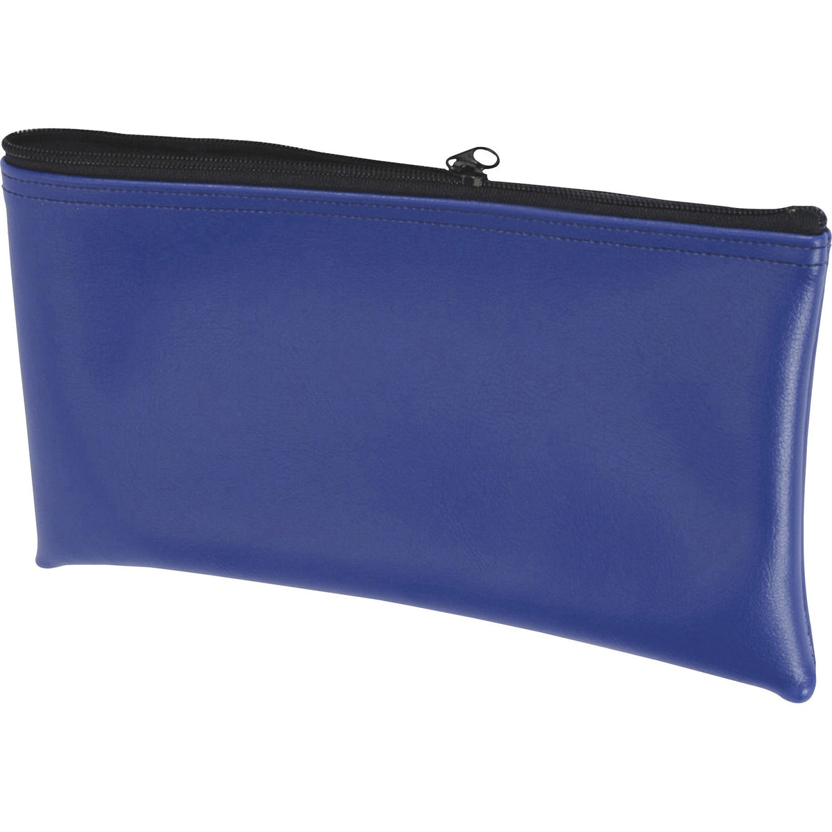 CONTROLTEK Carrying Case Paper, Check, Check, Brochure, Coupon - Blue (CNK530979)