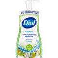 Dial Foaming Hand Wash (DIA34721)