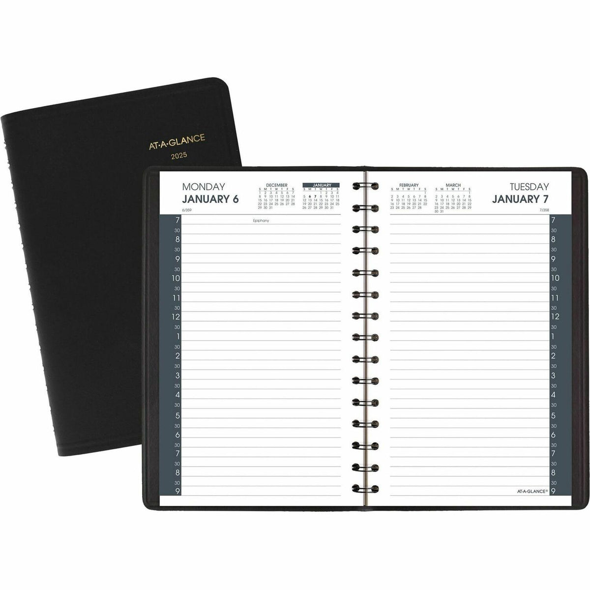 AT-A-GLANCE Appointment Book Planner (AAG7020705)