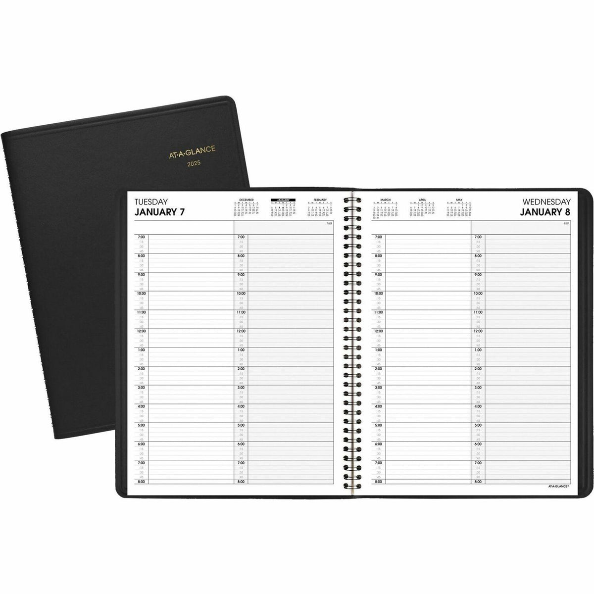 AT-A-GLANCE 2-Person Appointment Book (AAG7022205)
