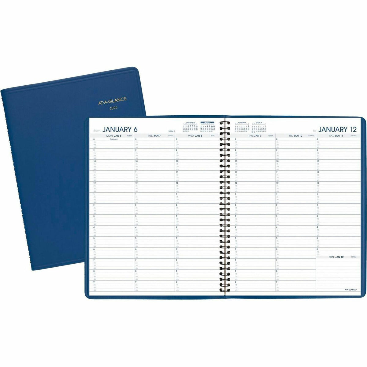 AT-A-GLANCE Fashion Appointment Book Planner (AAG7094020)